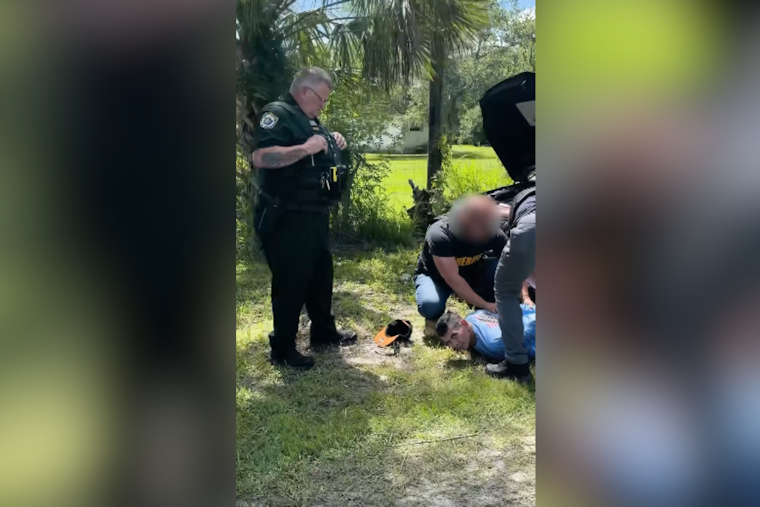 Brevard Man Busted After Cat Shot In Eye With BB Gun