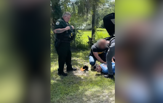 Brevard Man Busted After Cat Shot In Eye With BB Gun