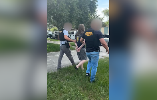 Brevard Sheriff Rips Local Owner After Emaciated Dog ‘Chance’ Put Down