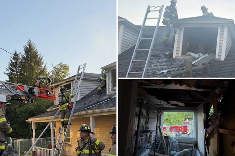 Brewster Dog Rescue Reeling After Shelter Blaze Leaves Adoption Center Uninhabitable