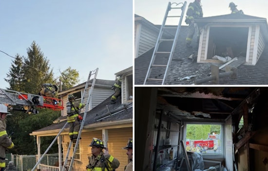 Brewster Dog Rescue Reeling After Shelter Blaze Leaves Adoption Center Uninhabitable