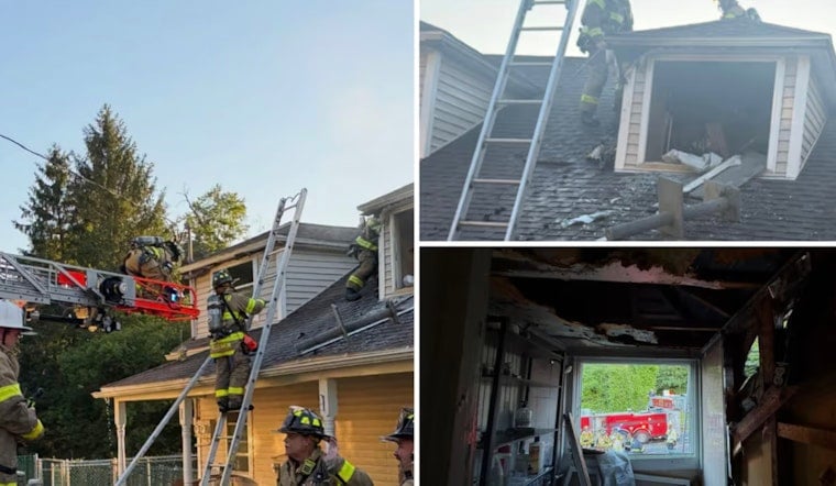 Brewster Dog Rescue Reeling After Shelter Blaze Leaves Adoption Center Uninhabitable