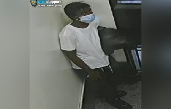 Bronx Bullets Rattle Mount Eden Storefront As Cops Hunt Four