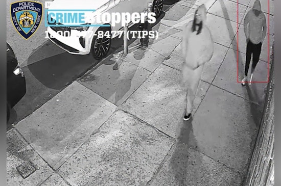 Bronx Gunman Opens Fire as Trio Robs Men Near Roberts and Jarvis