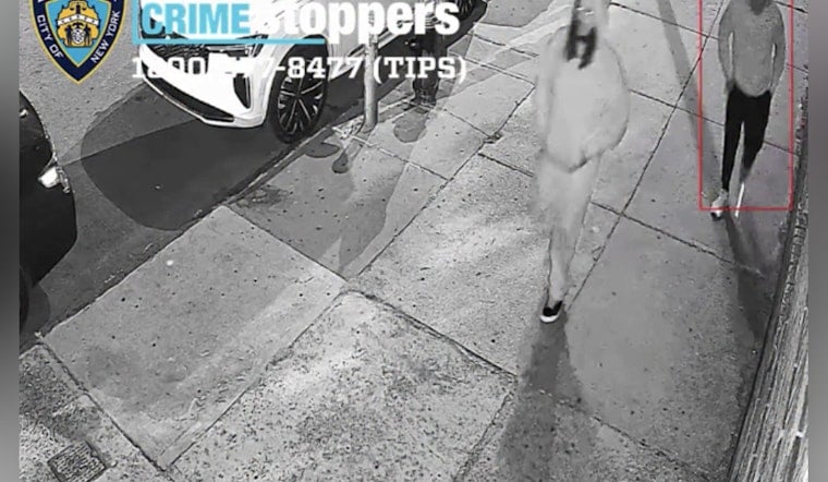 Bronx Gunman Opens Fire as Trio Robs Men Near Roberts and Jarvis