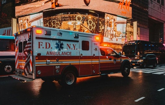 Bronx Rodeo Chaos as Bull Slams Man at Baychester Ballfield