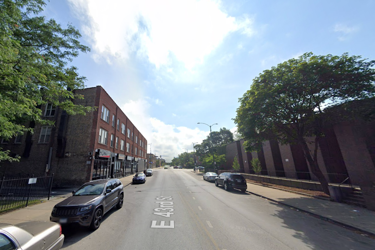 Bronzeville Alley Held Hostage by Giant Storm Tree and Rotting Trash