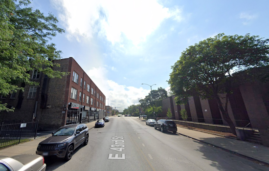 Bronzeville Alley Held Hostage by Giant Storm Tree and Rotting Trash