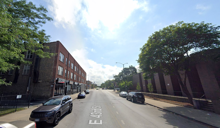 Bronzeville Alley Held Hostage by Giant Storm Tree and Rotting Trash