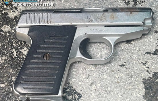 Brooklyn Gun Bust: NYPD Flaunts Handgun Haul From Ongoing Probe