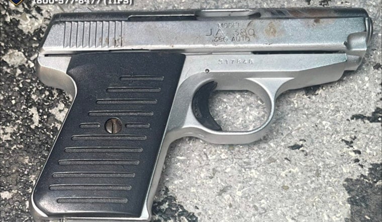 Brooklyn Gun Bust: NYPD Flaunts Handgun Haul From Ongoing Probe