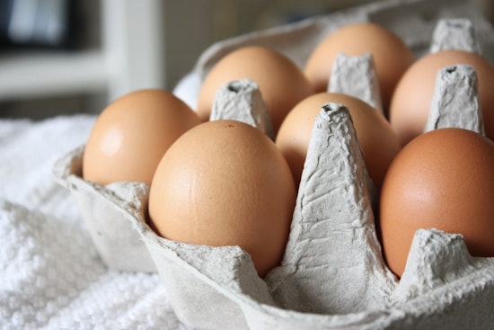 Brooklyn Parents Crack A Smile As Early Egg Feedings Cut Allergy Risk