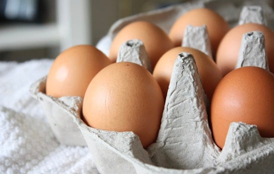 Brooklyn Parents Crack A Smile As Early Egg Feedings Cut Allergy Risk
