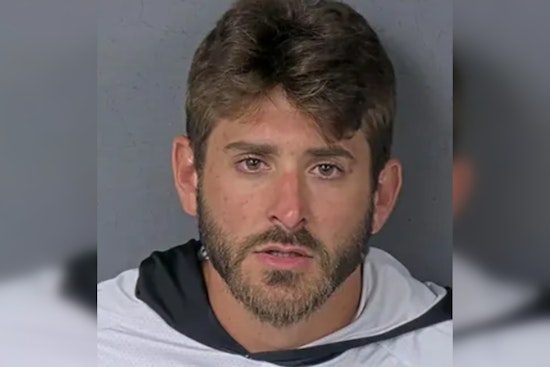 Brooksville Crash Chaos Driver Tries To Hijack Medevac Chopper on I-75