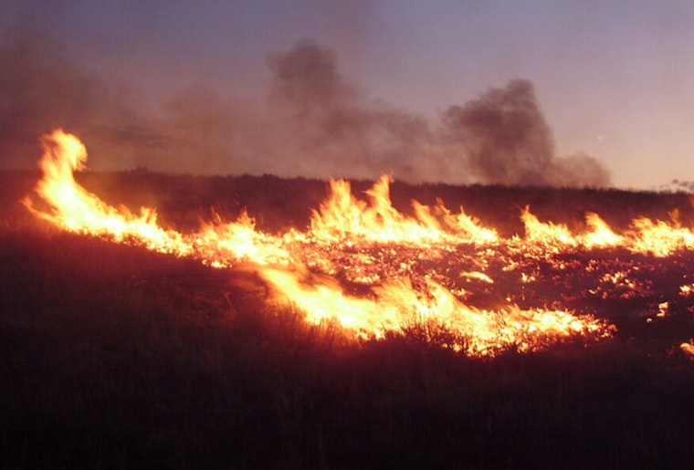 Brush Fire Beside I-105 In South L.A. Prompts Response