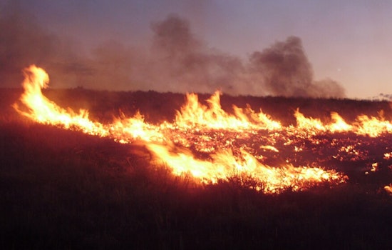 Brush Fire Beside I-105 In South L.A. Prompts Response