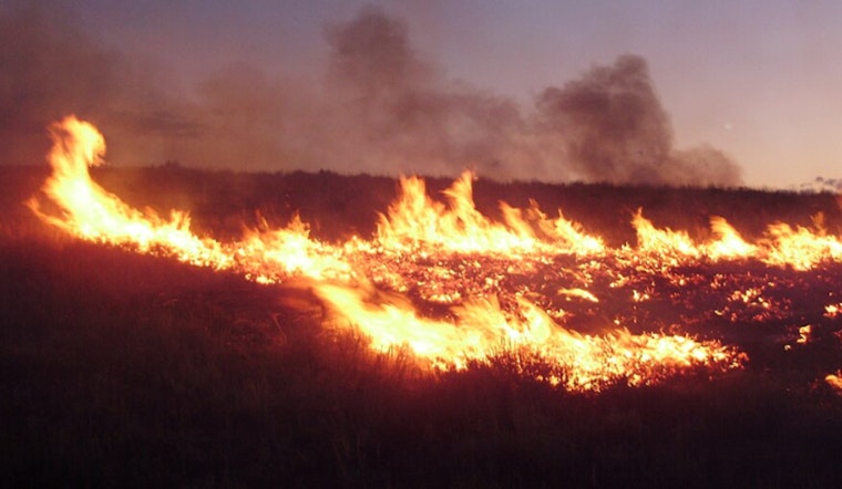 Brush Fire Beside I-105 In South L.A. Prompts Response