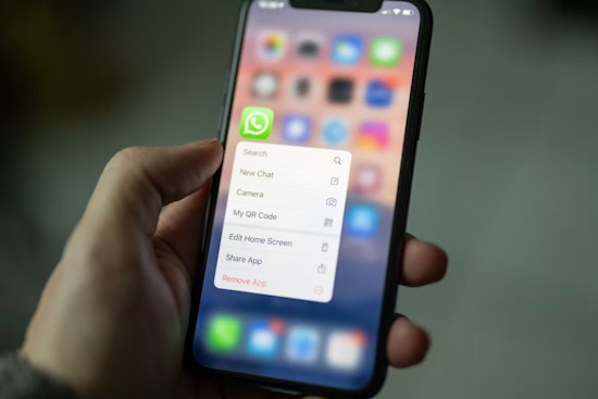 Brussels Smacks Meta, Orders WhatsApp To Reopen To Rival Bots
