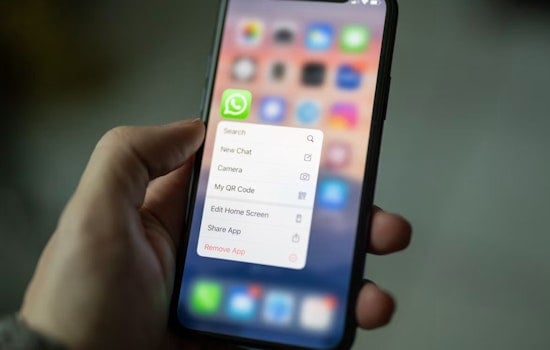 Brussels Smacks Meta, Orders WhatsApp To Reopen To Rival Bots