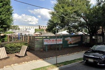 Buckhead Dog Park Faces Wrecking Ball for 19-Story Timber Tower