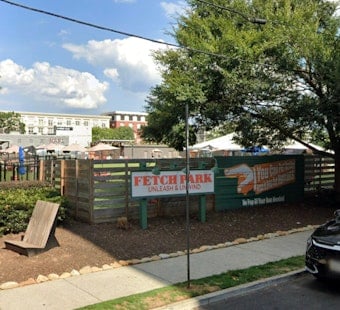 Buckhead Dog Park Faces Wrecking Ball for 19-Story Timber Tower
