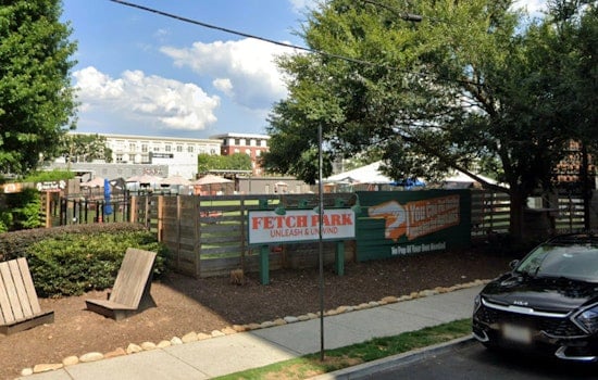 Buckhead Dog Park Faces Wrecking Ball for 19-Story Timber Tower