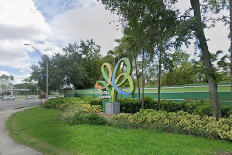 Busch Gardens Snags Wild Adventures Boss To Lead Tampa Overhaul