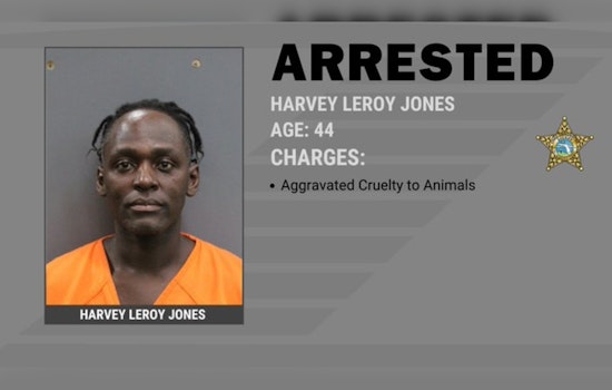 Tampa Dog Left To Die In Searing Heat, Owner Busted On Felony Charge