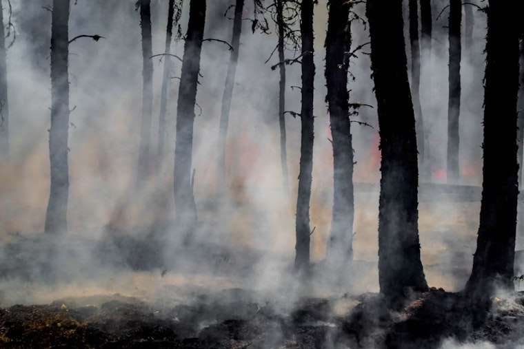 Canyon Fire Flares Up on Private Land in Placer County