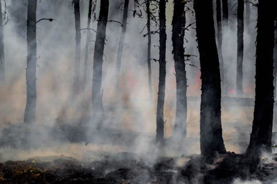Canyon Fire Flares Up on Private Land in Placer County