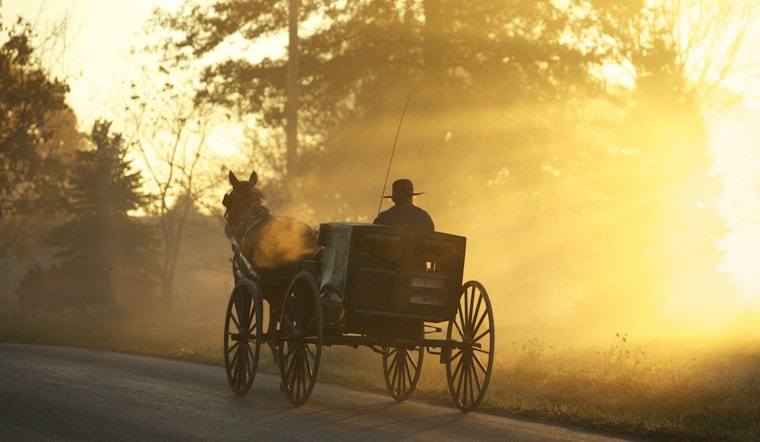 Carriage Horse Found Dead Just Off Central Park West