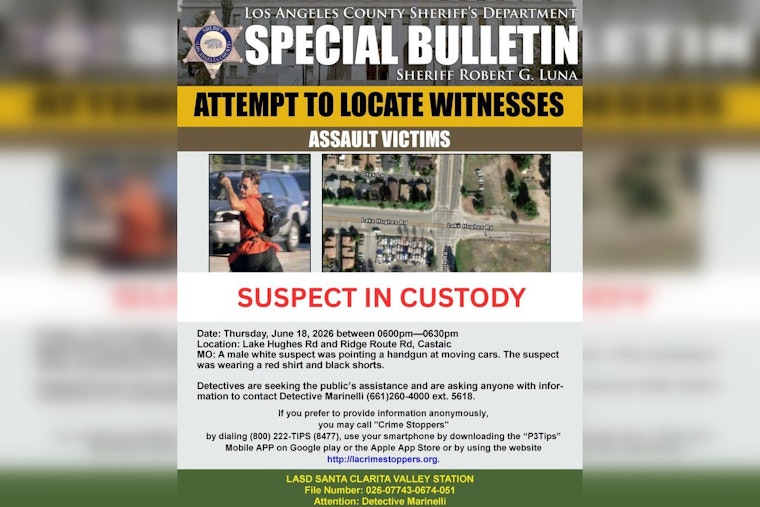 Castaic Gunman Nabbed After Allegedly Aiming at Passing Cars