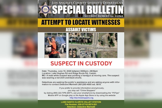 Castaic Gunman Nabbed After Allegedly Aiming at Passing Cars