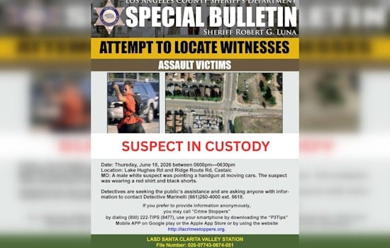 Castaic Gunman Nabbed After Allegedly Aiming at Passing Cars