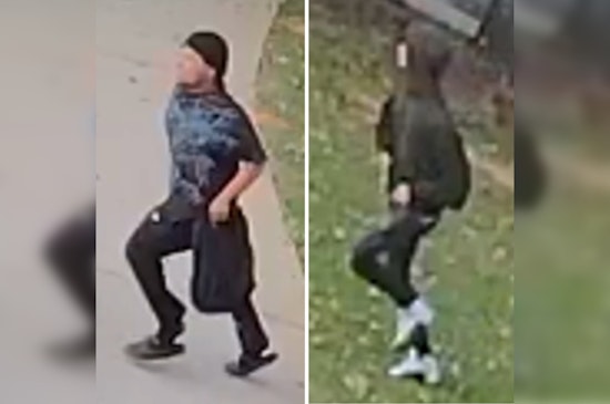 Caught-on-Camera Car Ambush Shatters Calm on McDonough Block