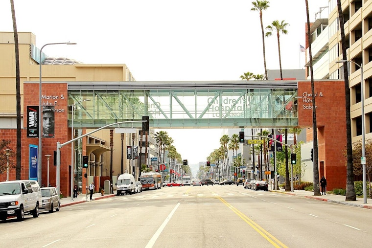 CHLA, UCLA Snag $17.25 Million Autism Trial Windfall