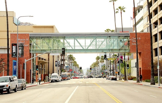 CHLA, UCLA Snag $17.25 Million Autism Trial Windfall