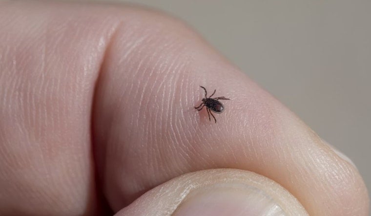 Cincinnati on Edge as Tick Bite 'Meat Allergy' Creeps Into Queen City