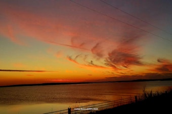 Claremore Boater Vanishes From Vessel, Found Dead Near Oologah Lake Cove