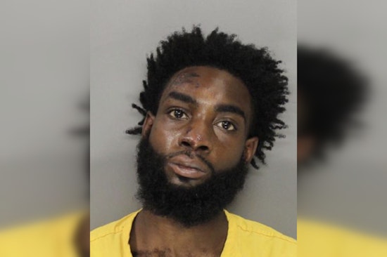 Cobb Chaos: Marietta Man Accused Of Choking K-9 After Wild Chase
