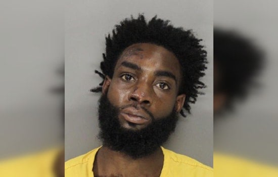 Cobb Chaos: Marietta Man Accused Of Choking K-9 After Wild Chase