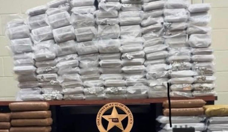 Cocaine Traffic Stop Ends With Six Seized Horses Sent To OKC Rescue