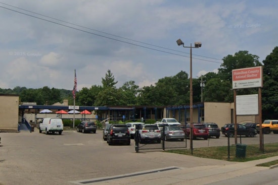 Code Red At Cincinnati Shelter As Nearly 900 Pets Pack In