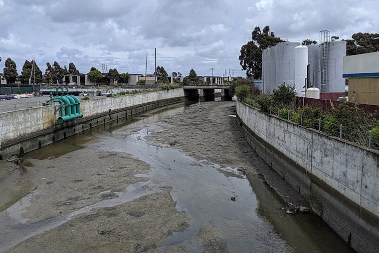 Colma Creek Marsh Turns Into Bizarre Shopping Cart Graveyard In South San Francisco