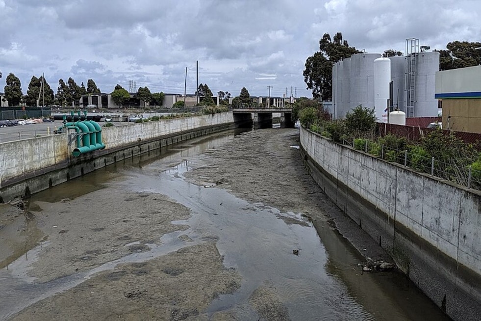 Colma Creek Marsh Turns Into Bizarre Shopping Cart Graveyard In South San Francisco