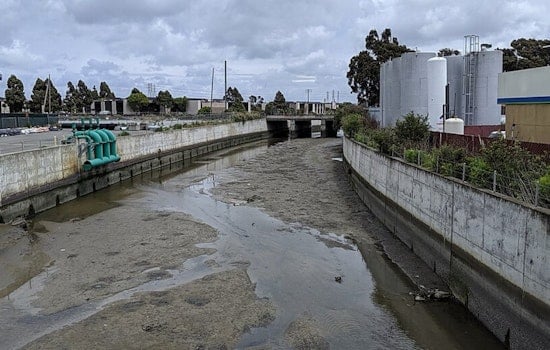 Colma Creek Marsh Turns Into Bizarre Shopping Cart Graveyard In South San Francisco