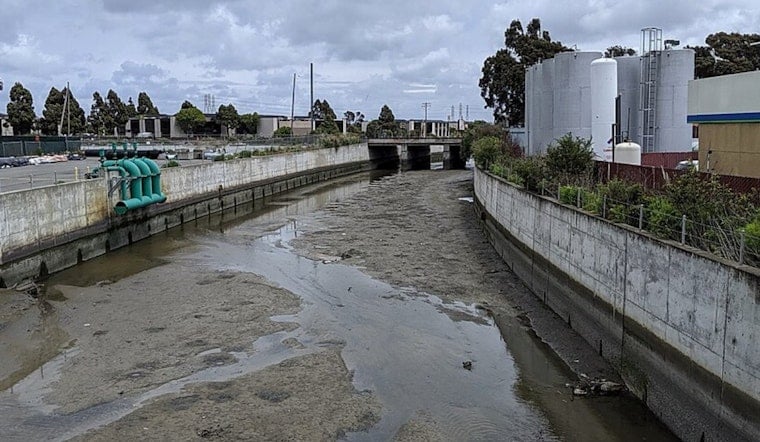 Colma Creek Marsh Turns Into Bizarre Shopping Cart Graveyard In South San Francisco