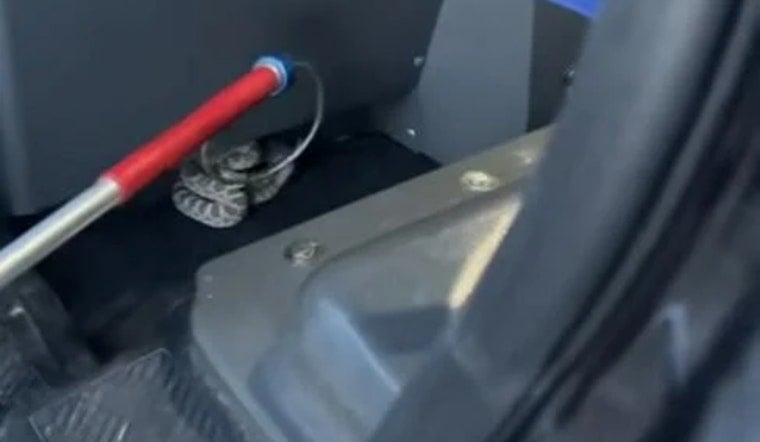 Commerce City Cops Turn Patrol Car Into Snake Uber Near Adams City High