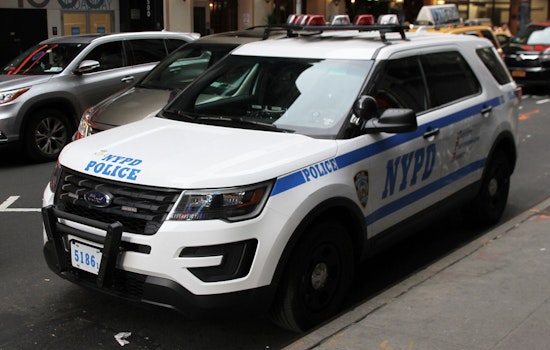 Cops Hunt Central Park Suspect After Pre-Dawn Attempted Rape