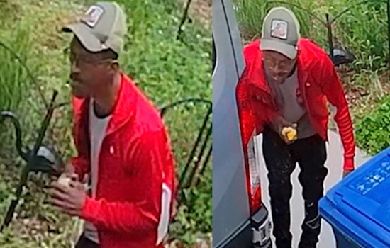 Cops Hunt Crouching Crook In Red Jacket After Southeast DC Thefts